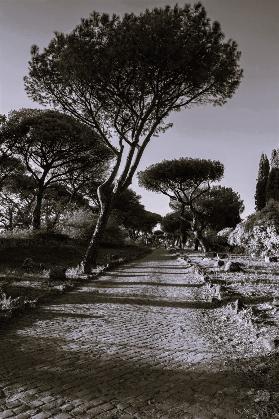 Il territorio dell'Appia Antica